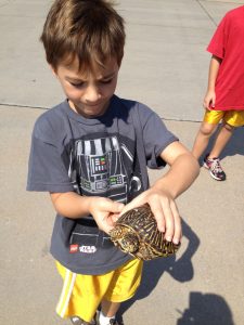 Cole-carrying-turtle