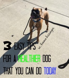 3-tips-for-a-healthier-dog