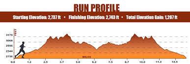 st-george-run-profile